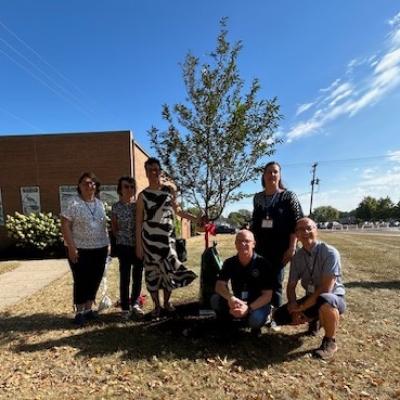 Neuer Baum Fur Belvidere